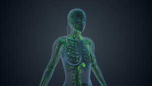 Understanding Lymphedema and the Lymphatic System
