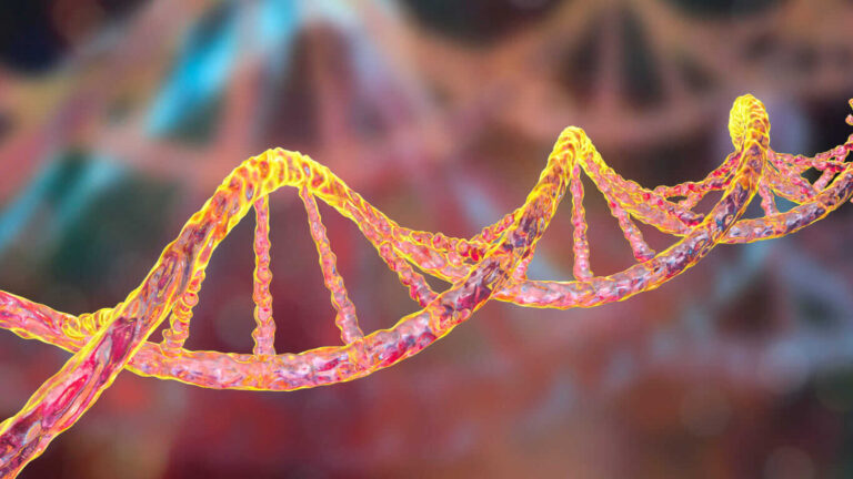 lymphedema genetic testing