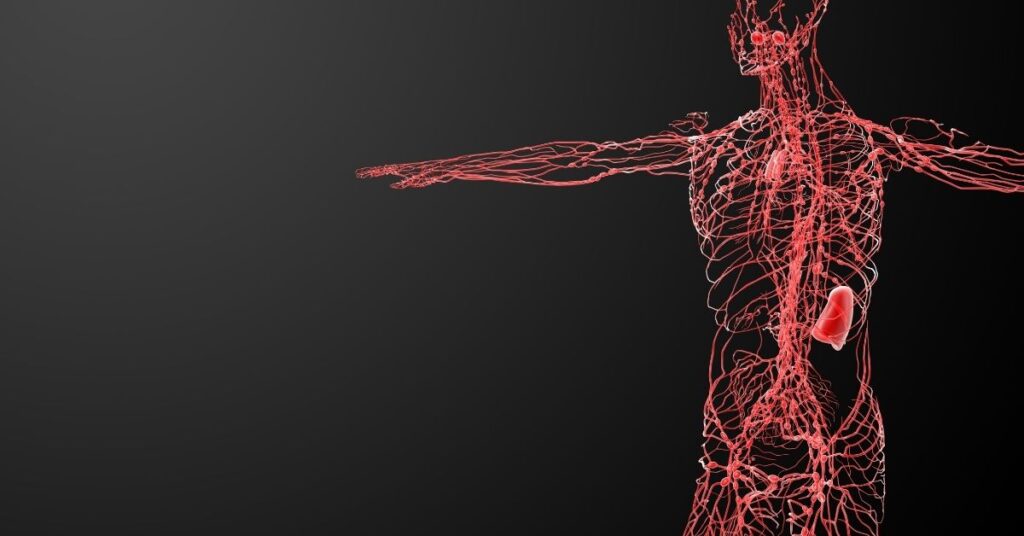 Understanding Lymphatic Dysfunction and Its Impact on the Immune System in Lymphedema