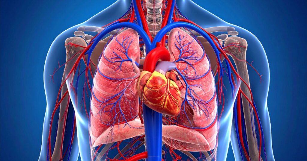 Lymphedema and How It Affects Your Cardiovascular Health